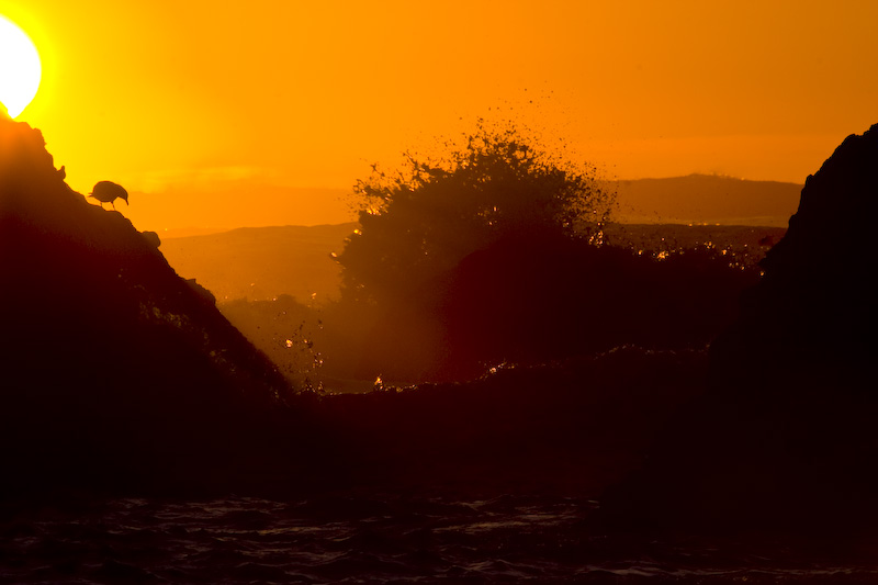 Waves Lit By Sunset